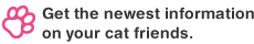 Get the newest information on your cat friends.