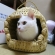 Cat pictures｜猫ちぐら！