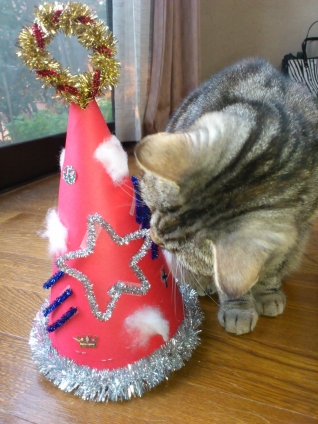 Cat pictures｜メリークリスマスにゃお～ん♪