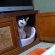 Cat pictures｜タマ小屋で変顔するタマ