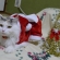 Cat pictures｜メリークリスマス♪
