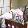 Cat pictures｜子猫集合！！