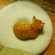 Cat pictures｜ドーナツクッションの穴は僕が寝る場所