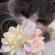 Cat pictures｜ 花といっしょに♡