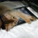 Cat pictures｜iBed その２