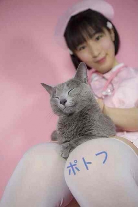 Cat pictures｜王様気取り♪