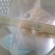 Cat pictures｜もう動物病院に着いたニャ、メルでーす！