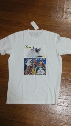 Cat pictures｜タムTシャツ！