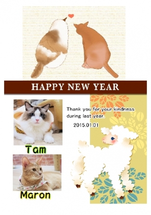 Cat pictures｜あけましておめでとう！
