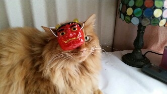 Cat pictures｜オペラ座の怪猫