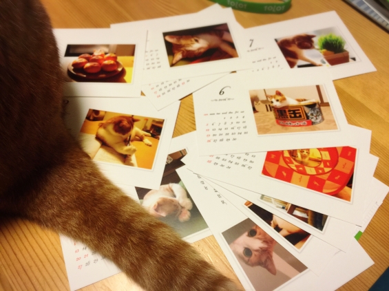 Cat pictures｜2016カレンダー♪*ﾟ