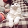Cat pictures｜じーっ・・・