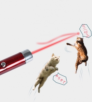 Cat pictures｜Fly cat htpow laser